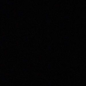 Meet your Posher, Lily